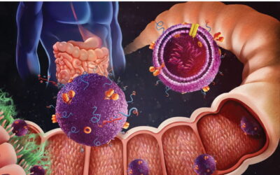 Oral exosomal siRNA delivery featured on inside front cover of Biomaterials Science!