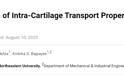 A sneak peak into our experimental protocols for characterizing solute transport through cartilage!