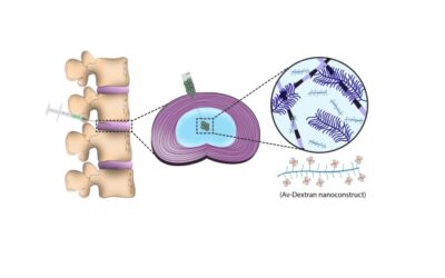 Our latest publication on the use of Avidin for enabling long-term retention in IVDs!