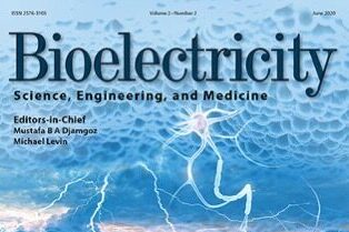 Check out our latest reviews published in Nano Today and Bioelectricity!