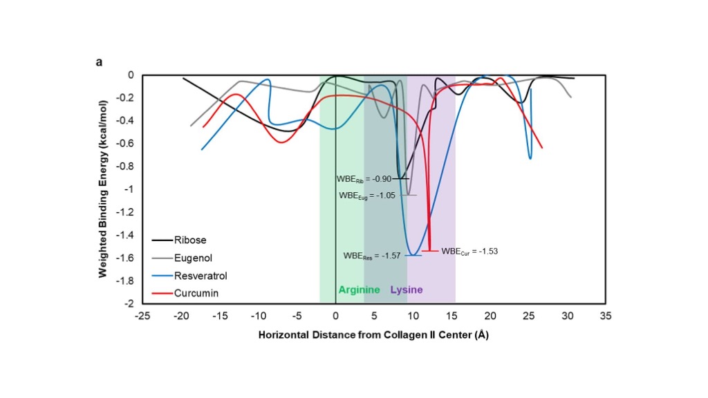 Aging is the most common risk factor for developing osteoarthritis due to the accumulation of advanced glycation endproducts. See how our students Shikhar and Cam are tackling this problem.