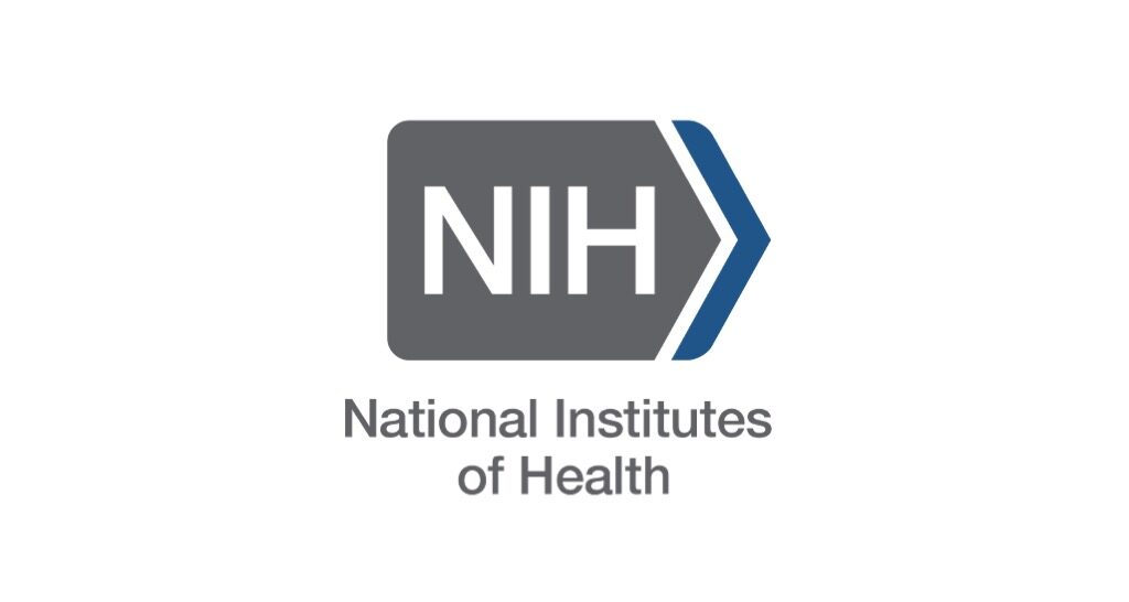 Prof. Bajpayee Awarded NIH Trailblazer!