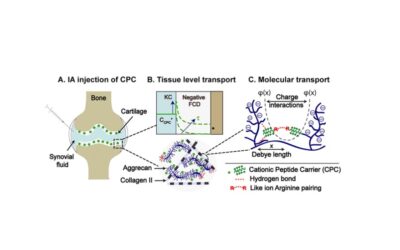 Congrats to Armin for Publishing his First Paper!