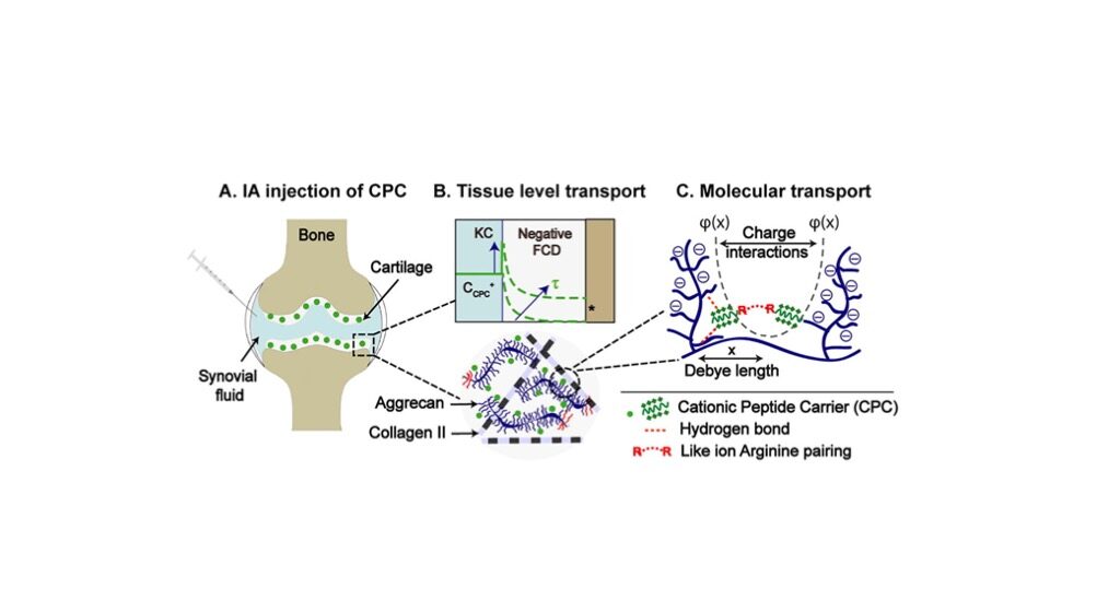 Congrats to Armin for Publishing his First Paper!