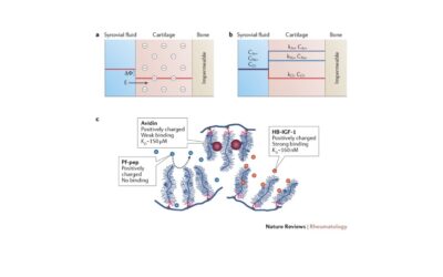 Check out our new paper in Nature Rheumatology Reviews