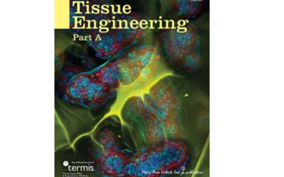 June 2021 special issue cover of Tissue Engineering Part A featuring our injectable shape-memory cryogels for cartilage defect repair!