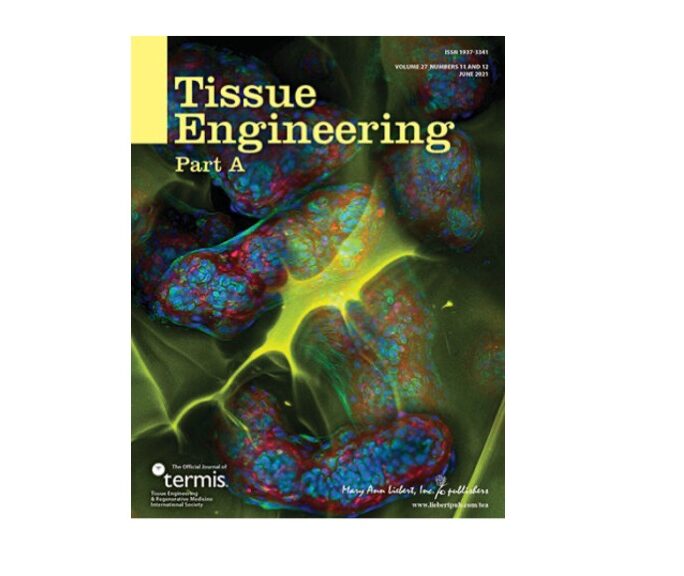 June 2021 special issue cover of Tissue Engineering Part A featuring our injectable shape-memory cryogels for cartilage defect repair!