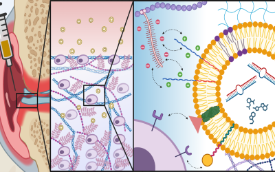 Congrats to Andrew Selvadoss and Coauthors on the recently published review on exosomes for OA therapy in Nanoscale