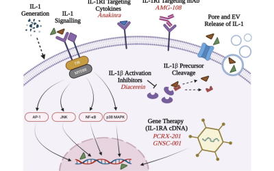 New Review Article on IL-1 inhibition strategies for OA published in Arthritis Research & Therapy!