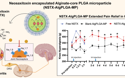 Sustained Release of Neosaxitoxin for OA Pain featured by Nanoscale for US National Nanotechnology Day!